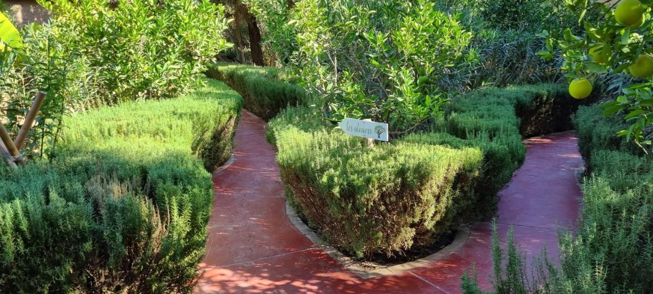 Les Trois Paons Bed & Breakfast Taroudant Bagian luar foto