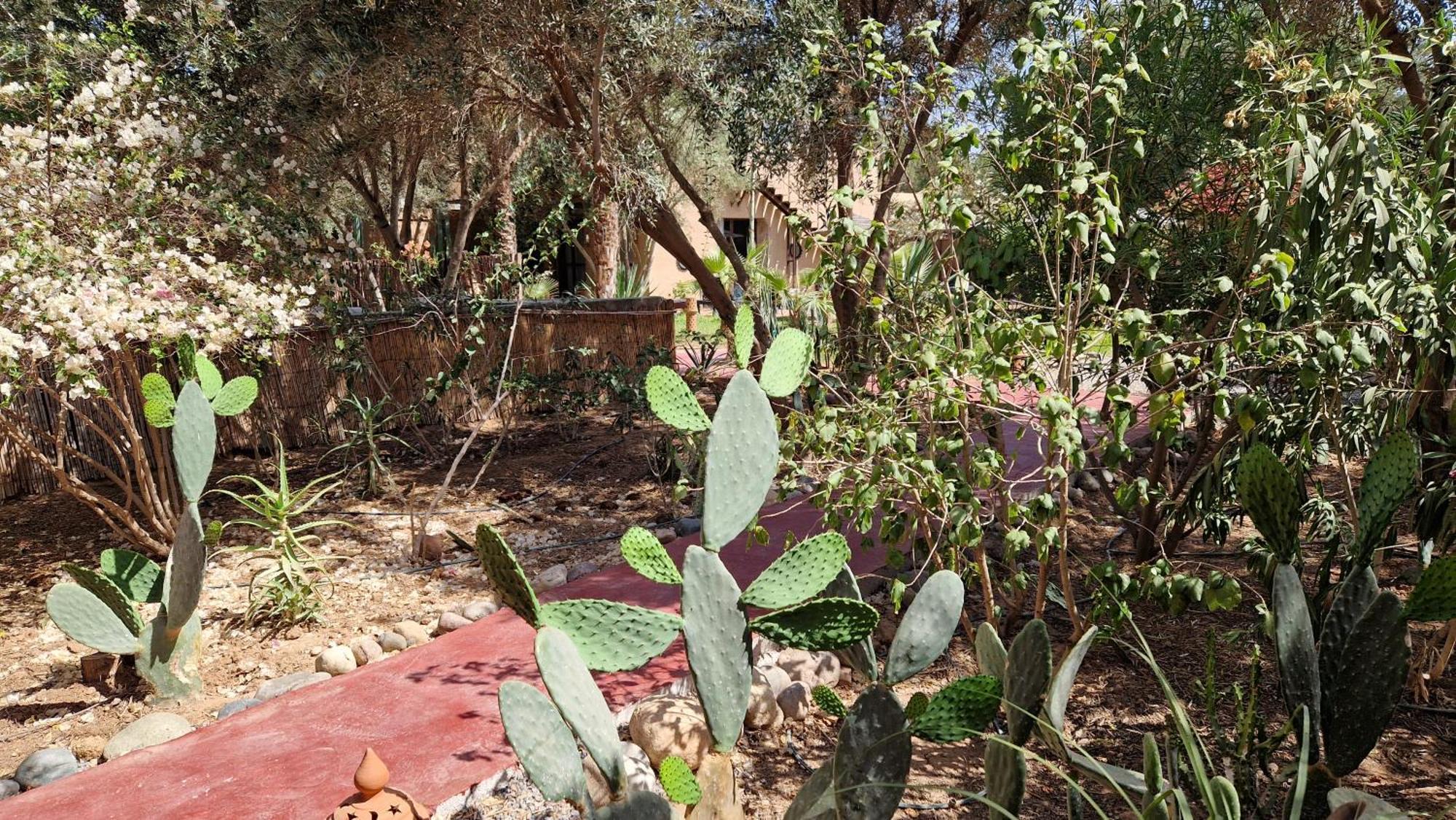 Les Trois Paons Bed & Breakfast Taroudant Bagian luar foto