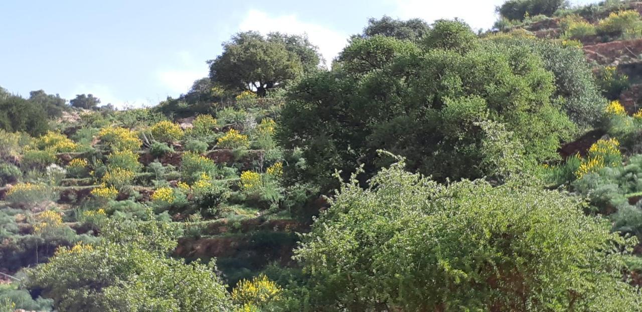Les Trois Paons Bed & Breakfast Taroudant Bagian luar foto